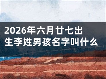 2026年六月廿七出生李姓男孩名字叫什么