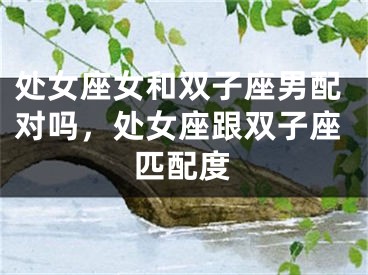 处女座女和双子座男配对吗，处女座跟双子座匹配度