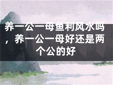 养一公一母鱼利风水吗，养一公一母好还是两个公的好
