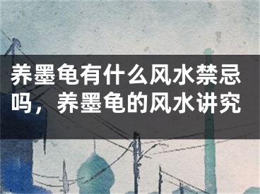 养墨龟有什么风水禁忌吗，养墨龟的风水讲究