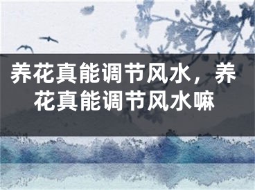 养花真能调节风水，养花真能调节风水嘛