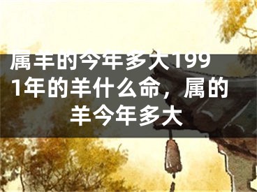 属羊的今年多大1991年的羊什么命，属的羊今年多大