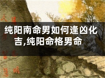 纯阳南命男如何逢凶化吉,纯阳命格男命