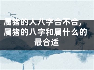 属猪的人八字合不合,属猪的八字和属什么的最合适