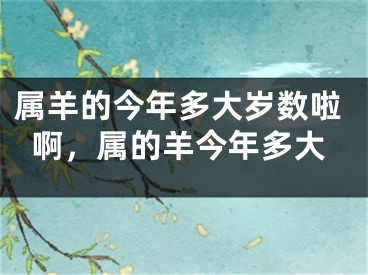 属羊的今年多大岁数啦啊，属的羊今年多大