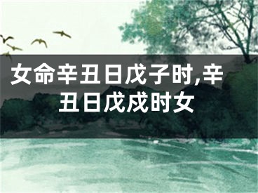 女命辛丑日戊子时,辛丑日戊戍时女