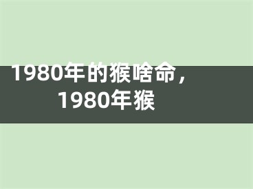 1980年的猴啥命，1980年猴