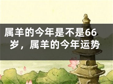 属羊的今年是不是66岁,属羊的今年运势