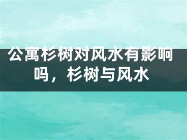公寓杉树对风水有影响吗，杉树与风水