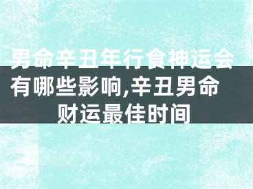 男命辛丑年行食神运会有哪些影响,辛丑男命财运最佳时间