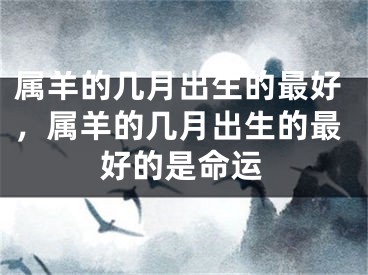 属羊的几月出生的最好，属羊的几月出生的最好的是命运