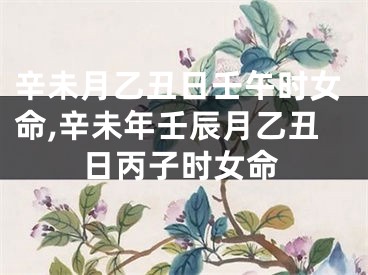 辛未月乙丑日壬午时女命,辛未年壬辰月乙丑日丙子时女命