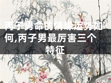 丙子男命的情缘运势如何,丙子男最厉害三个特征