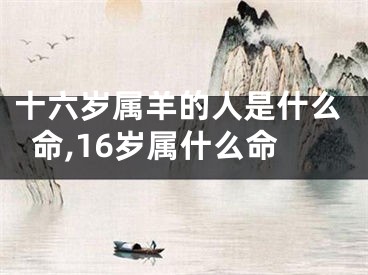 十六岁属羊的人是什么命,16岁属什么命