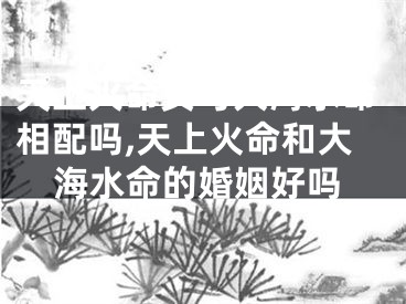 天上火命女与大海水命相配吗,天上火命和大海水命的婚姻好吗