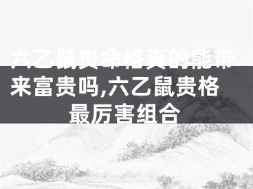六乙鼠贵命格真的能带来富贵吗,六乙鼠贵格最厉害组合