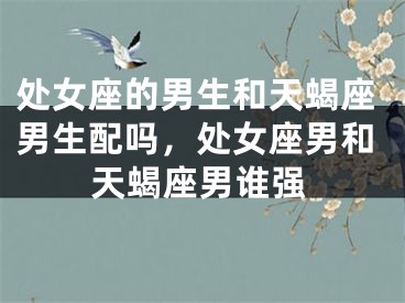 处女座的男生和天蝎座男生配吗，处女座男和天蝎座男谁强