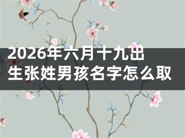 2026年六月十九出生张姓男孩名字怎么取