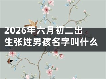 2026年六月初二出生张姓男孩名字叫什么
