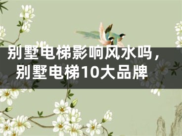 别墅电梯影响风水吗,别墅电梯10大品牌