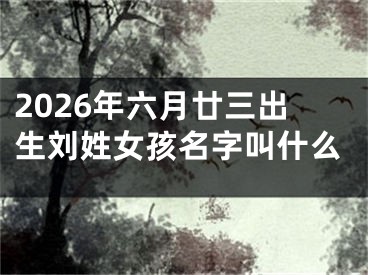 2026年六月廿三出生刘姓女孩名字叫什么