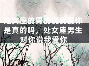 处女座的男的说我爱你是真的吗,处女座男生对你说我爱你