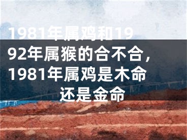 1981年属鸡和1992年属猴的合不合，1981年属鸡是木命还是金命
