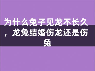 为什么兔子见龙不长久，龙兔结婚伤龙还是伤兔