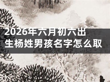 2026年六月初六出生杨姓男孩名字怎么取