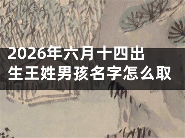 2026年六月十四出生王姓男孩名字怎么取