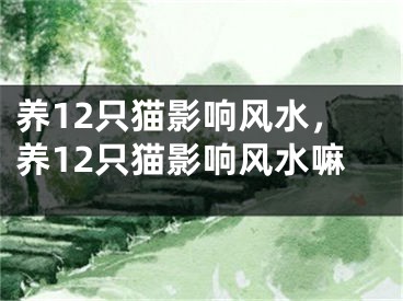 养12只猫影响风水，养12只猫影响风水嘛