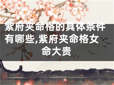 紫府夹命格的具体条件有哪些,紫府夹命格女命大贵