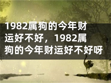 1982属狗的今年财运好不好,1982属狗的今年财运好不好呀