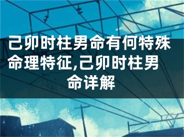 己卯时柱男命有何特殊命理特征,己卯时柱男命详解