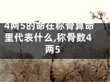 4两5的命在称骨算命里代表什么,称骨数4两5