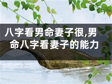八字看男命妻子很,男命八字看妻子的能力