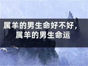 属羊的男生命好不好，属羊的男生命运
