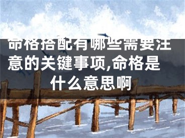 命格搭配有哪些需要注意的关键事项,命格是什么意思啊
