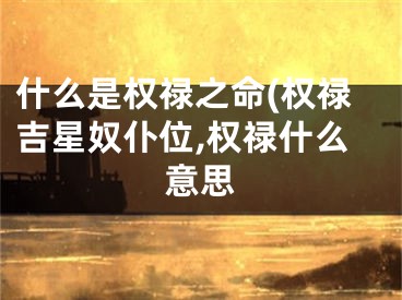 什么是权禄之命(权禄吉星奴仆位,权禄什么意思