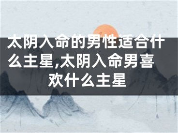 太阴入命的男性适合什么主星,太阴入命男喜欢什么主星