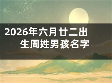 2026年六月廿二出生周姓男孩名字