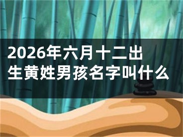 2026年六月十二出生黄姓男孩名字叫什么