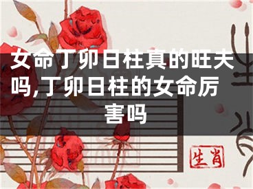 女命丁卯日柱真的旺夫吗,丁卯日柱的女命厉害吗