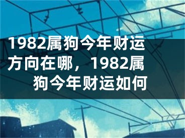 1982属狗今年财运方向在哪，1982属狗今年财运如何