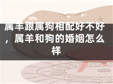 属羊跟属狗相配好不好，属羊和狗的婚姻怎么样