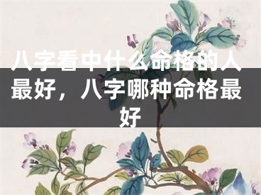 八字看中什么命格的人最好,八字哪种命格最好