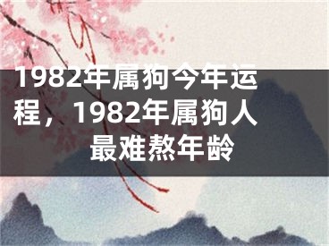 1982年属狗今年运程，1982年属狗人最难熬年龄