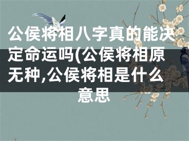 公侯将相八字真的能决定命运吗(公侯将相原无种,公侯将相是什么意思