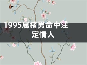 1995属猪男命中注定情人