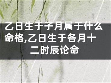 乙日生于子月属于什么命格,乙日生于各月十二时辰论命